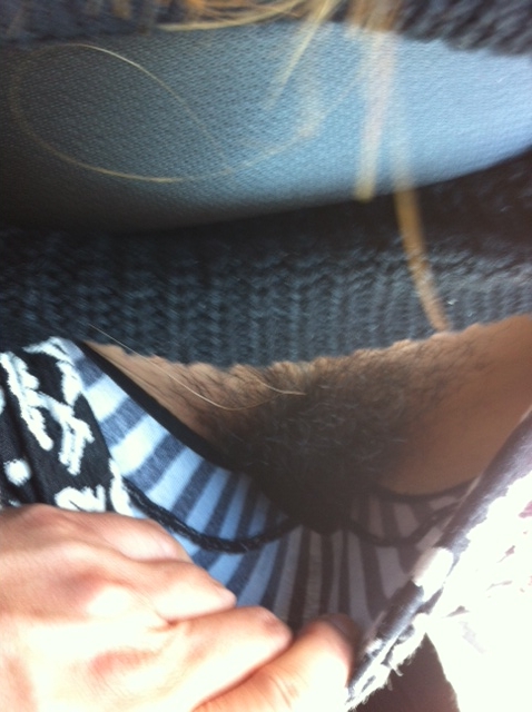 �ԓ��Z�b�N�X�̉摜